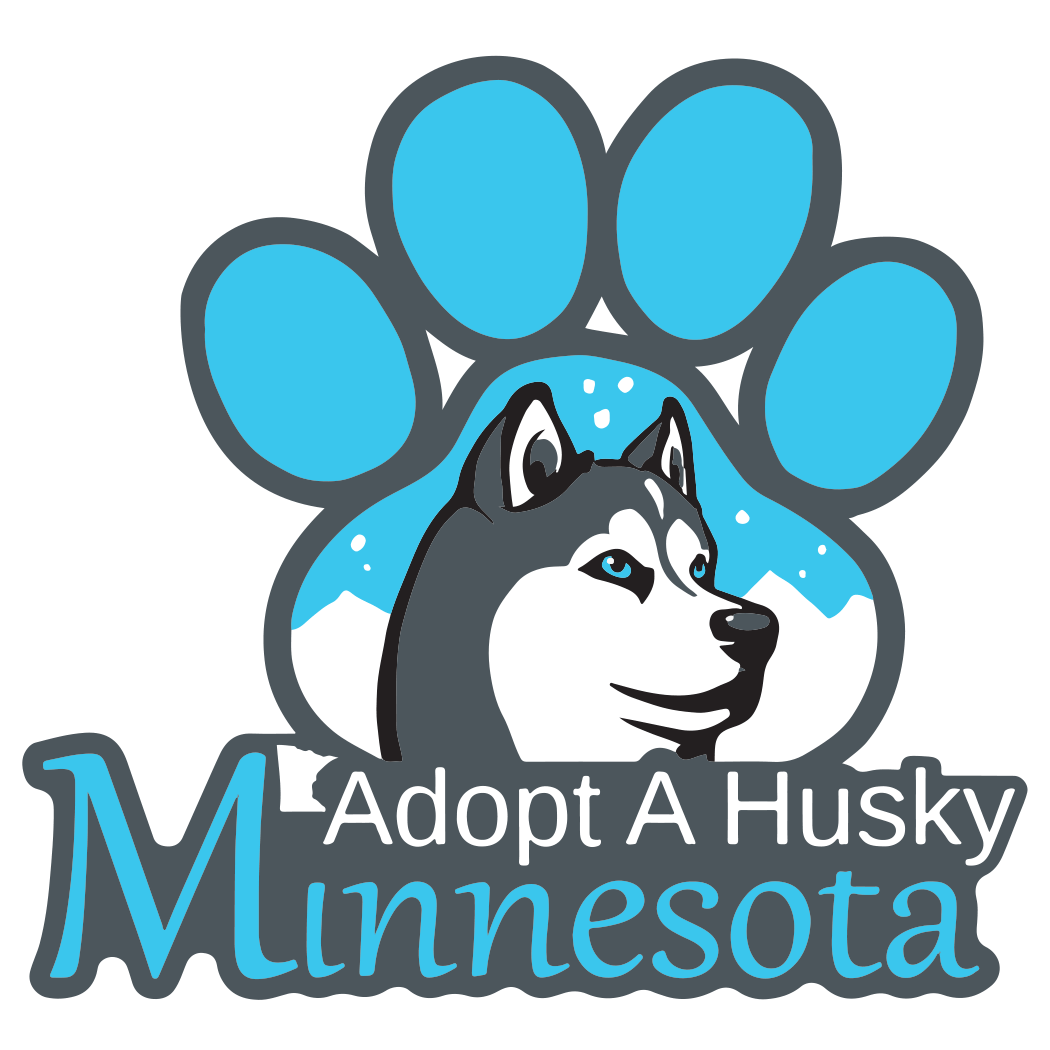 Adopt a Husky
