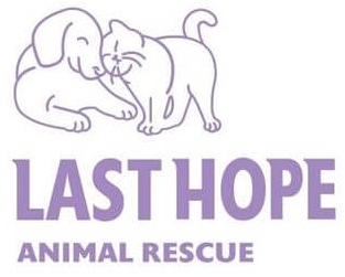 Last Hope