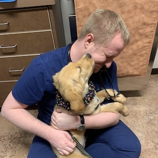 Pet Wellness Care in Burnsville