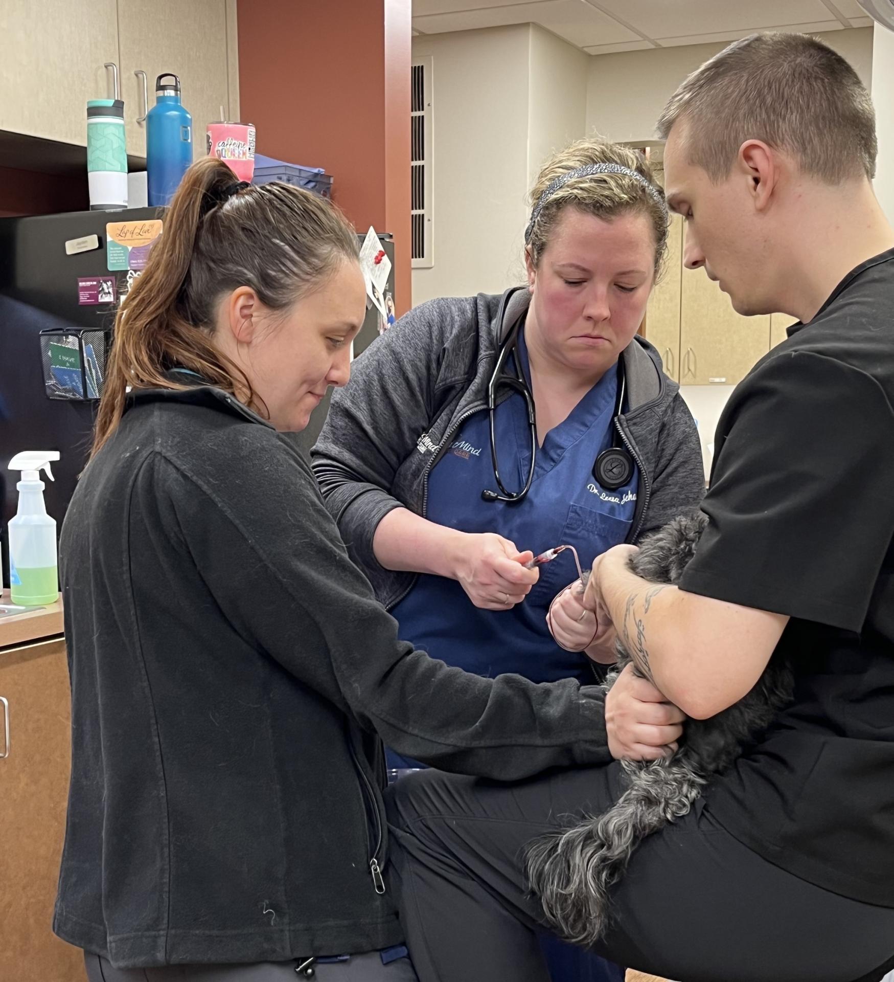 petdiagnostics petdiagnostics
