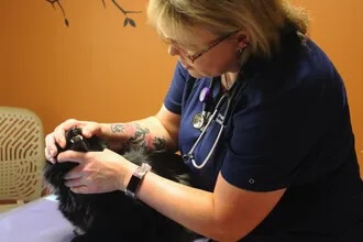 doc_cat